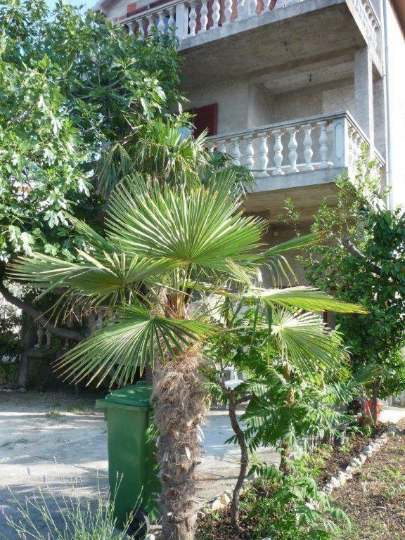 Apartments Ane Sukošan Екстериор снимка